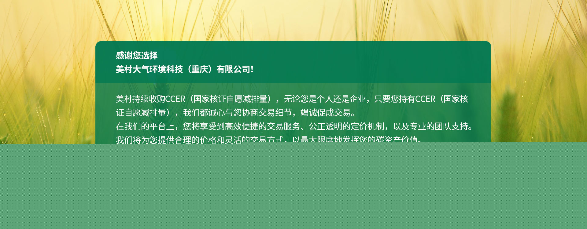 美村環境