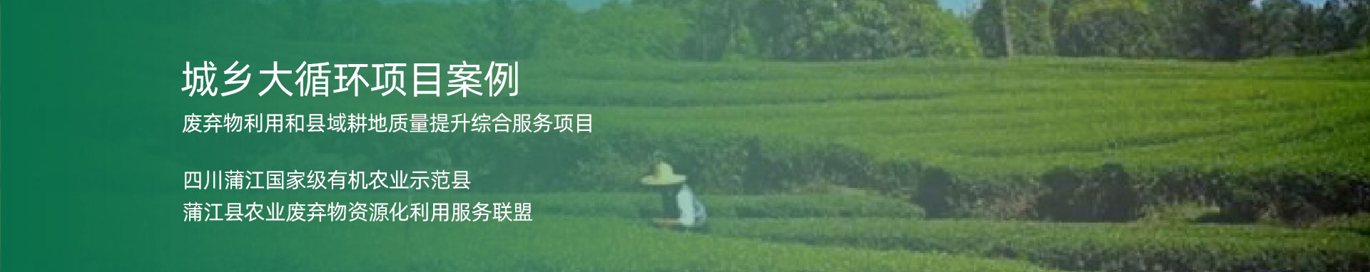 城鄉大循環項目